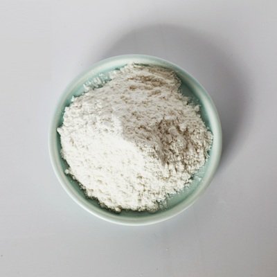 筛分粘性粉状物料用什么91视频香蕉APP？