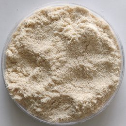 木粉91视频香蕉APP